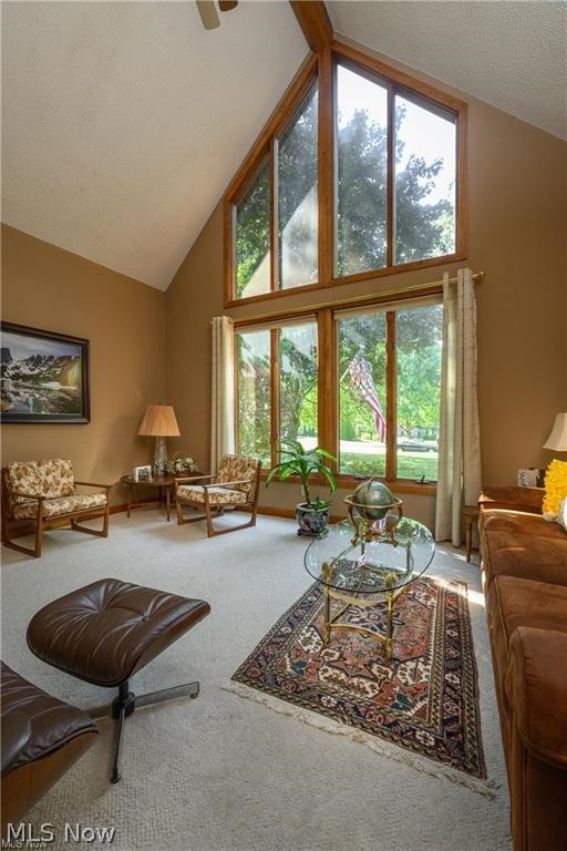 Austin Estates - Residential