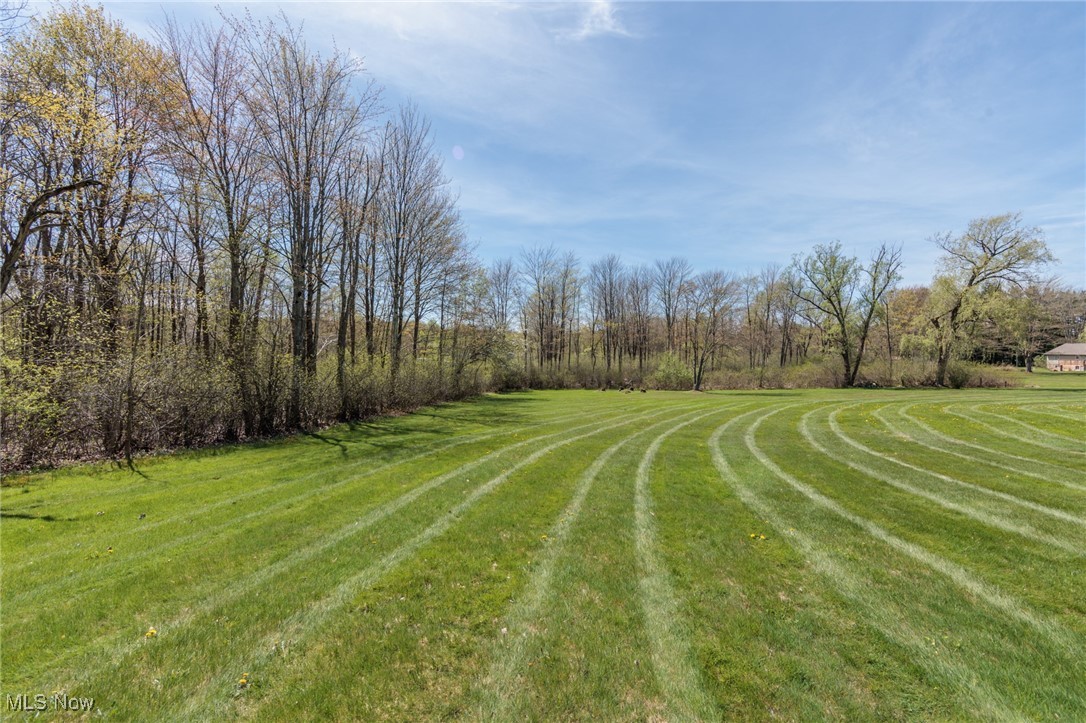 10805 Wilson Mills Road, Chardon, Ohio image 45