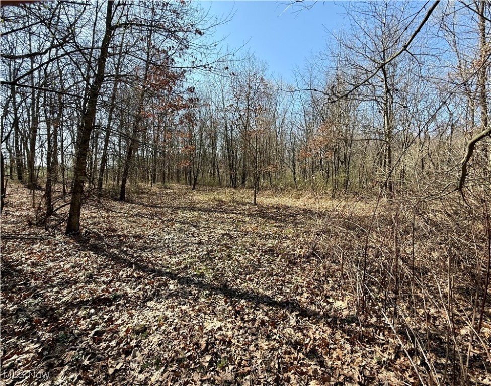 16929 State Route 644, Salineville, Ohio image 46