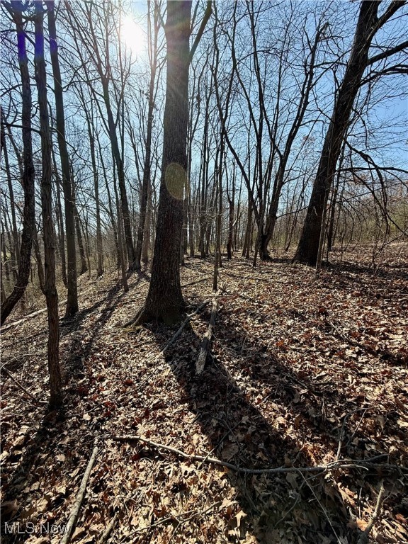 16929 State Route 644, Salineville, Ohio image 45