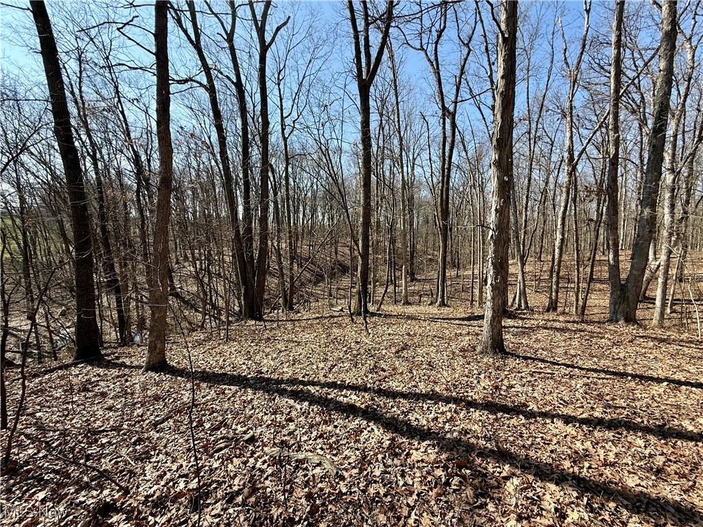 16929 State Route 644, Salineville, Ohio image 48