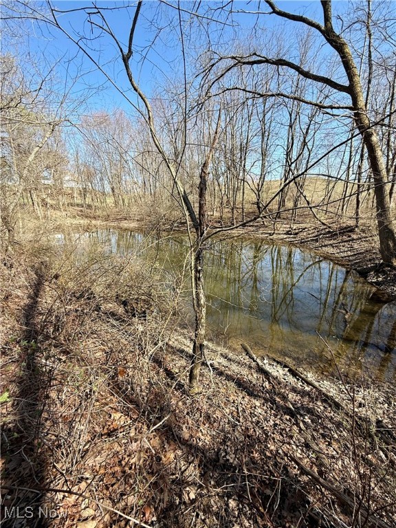 16929 State Route 644, Salineville, Ohio image 44