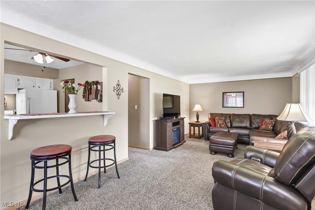 13717 Carpenter Road, Garfield Heights, Ohio image 12