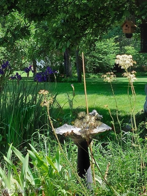 Steiner - Residential