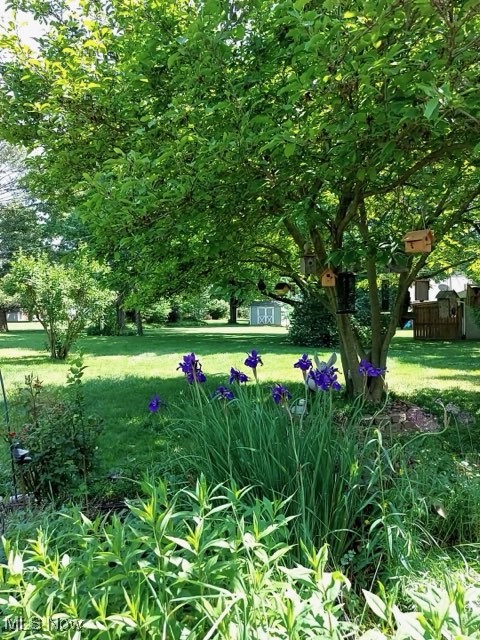 Steiner - Residential