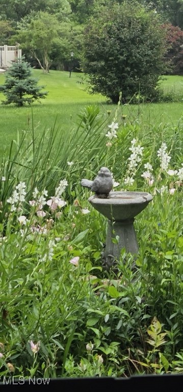 Steiner - Residential