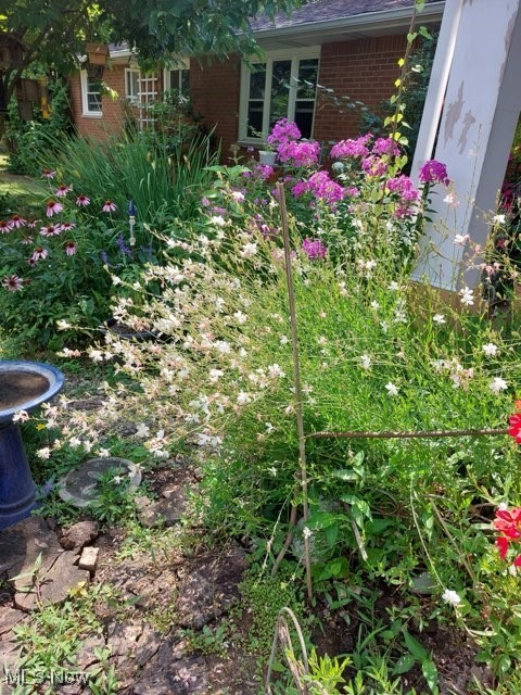 Steiner - Residential