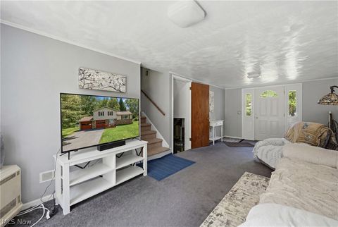 Tiny photo for 42033 Edward Circle, Columbiana, OH 44408 (MLS # 5209348)