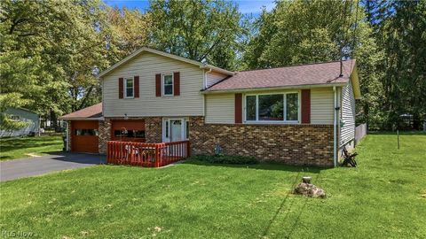Tiny photo for 42033 Edward Circle, Columbiana, OH 44408 (MLS # 5209348)