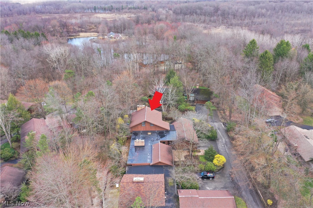 Pines - Residential
