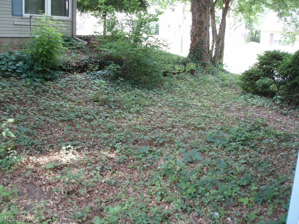 Heslop Morning View - Residential