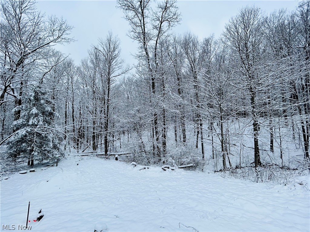 Spring Brook Colony Sub - Residential