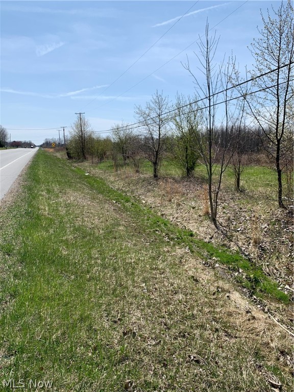 10 Acres Commercially Zoned ! Fast growing community! On RT. 83 (N. Avon Belden Rd) Just North of RT. 82 (Royalton Rd). Excellent commercial building site that is flat and level, currently leased to farmer, Current taxes under CAUV , Buyer to assume any changes, Hurry! there are not many commercial building site available.