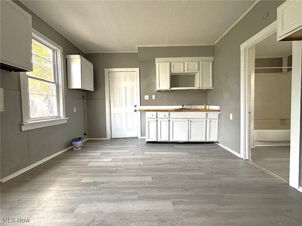 Photo of 4501 Hyde Avenue, Cleveland, OH 44118 (MLS # 5169570)