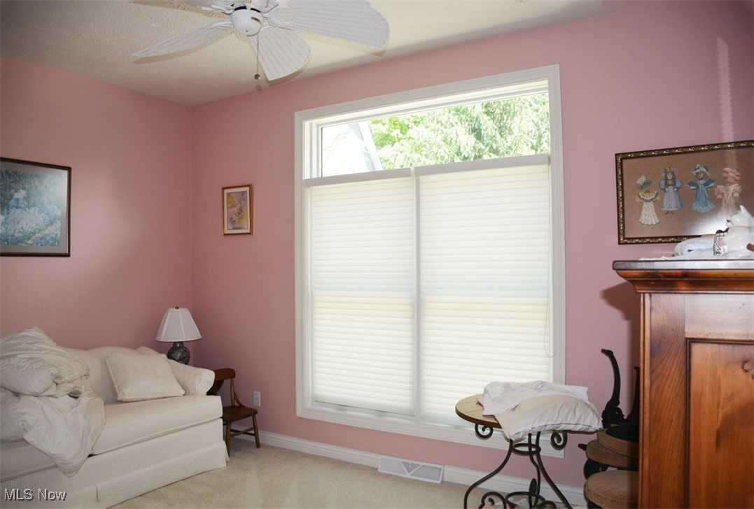 7711 Marewood Place, Painesville, Ohio image 24