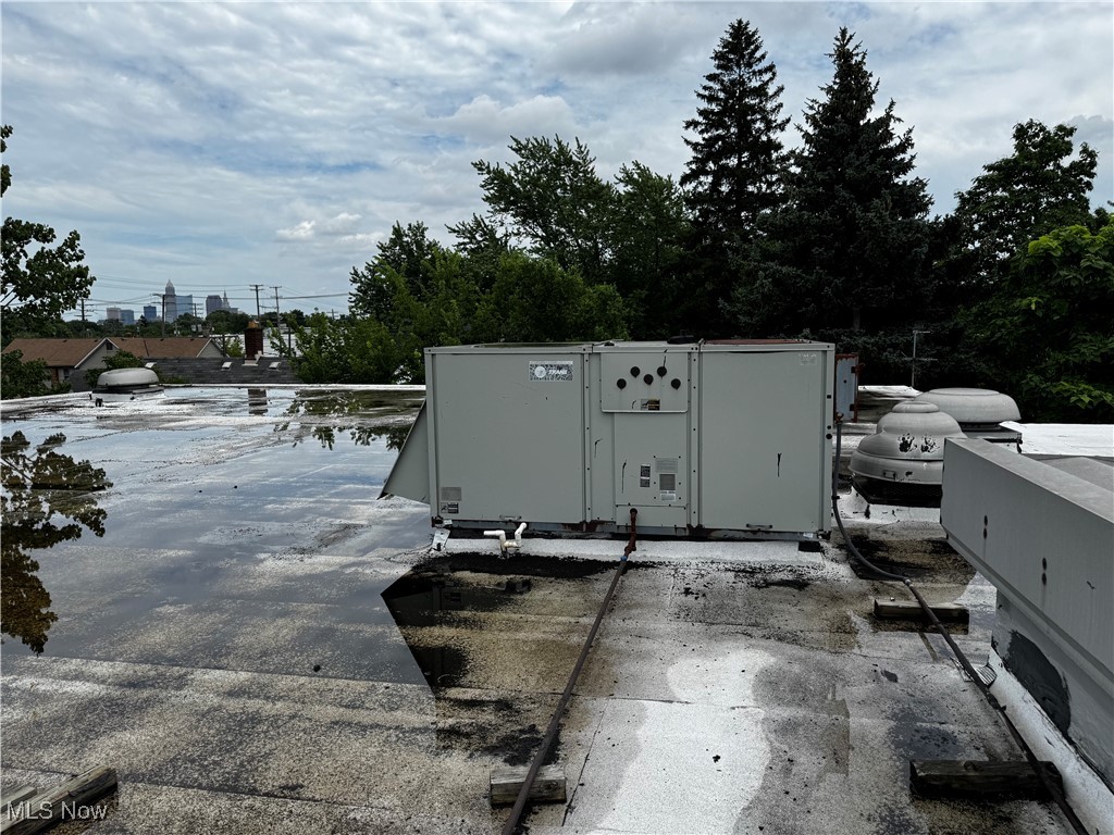 Elwell & Marvins Allotment - Commercial Sale