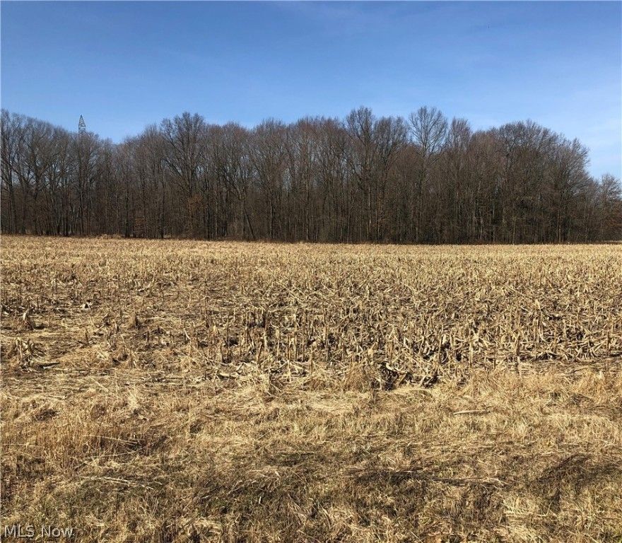 Build your DREAM home on almost 9 acres. Partially wooded but enough open land to have pasture for horses or other live stock. We already have plans and approval for septic system from portage county.
