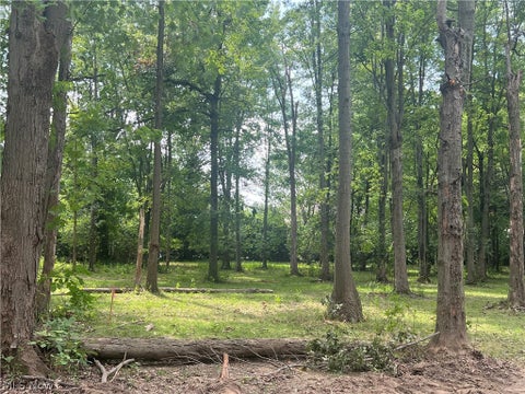 Photo for Lot 12 Course View Circle