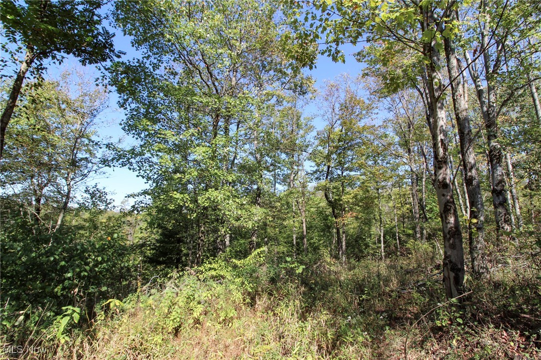 Lot 4 Moss Run Road, Marietta, Ohio image 9