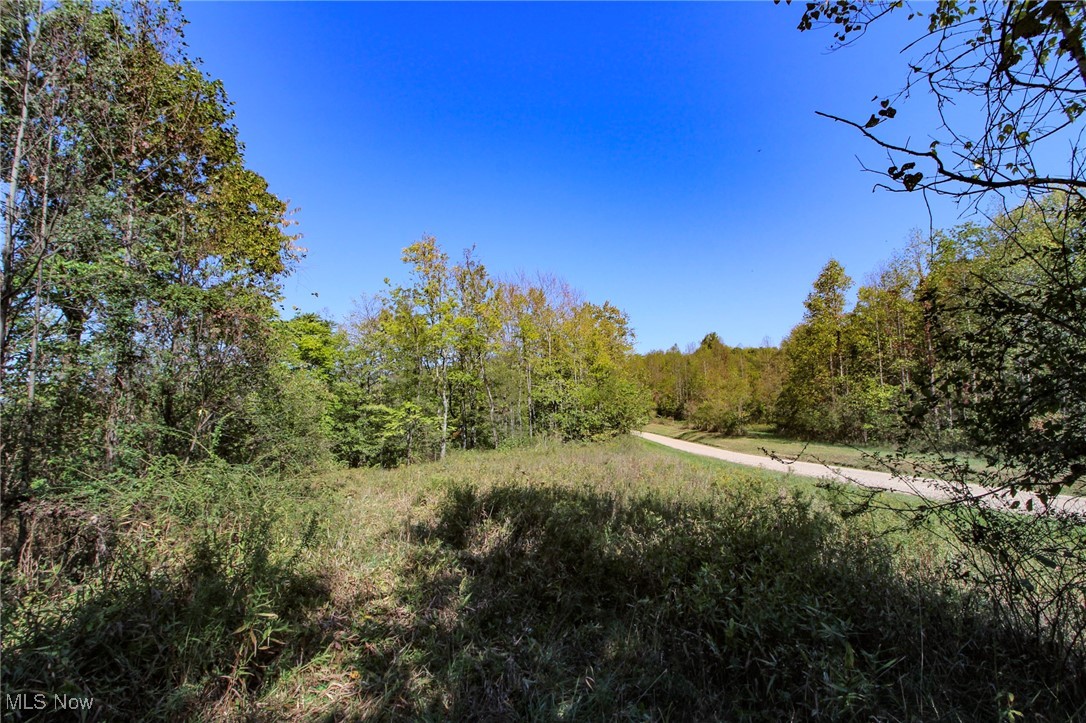 Lot 4 Moss Run Road, Marietta, Ohio image 3