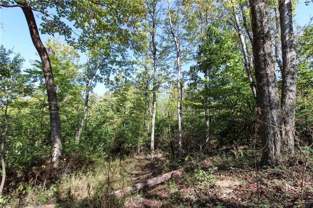 Lot 4 Moss Run Road, Marietta, Ohio image 10