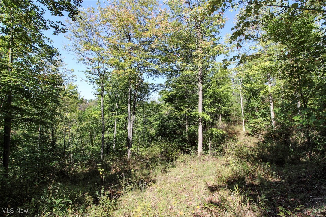 Lot 4 Moss Run Road, Marietta, Ohio image 11