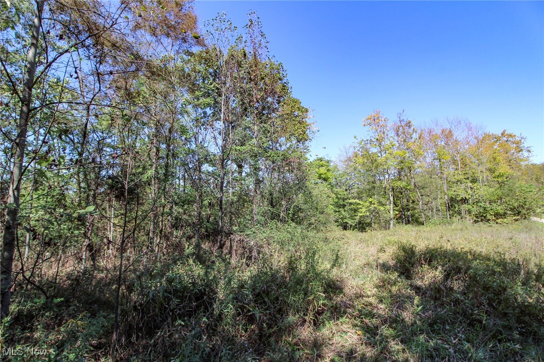 Lot 4 Moss Run Road, Marietta, Ohio image 2