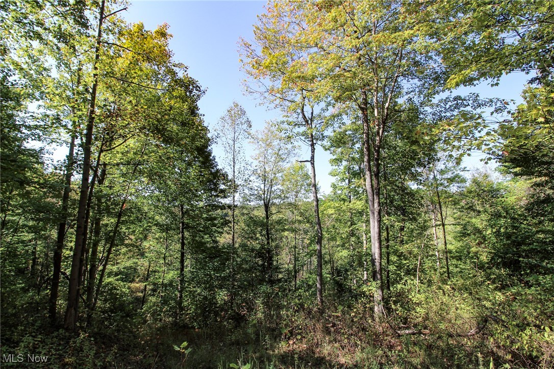 Lot 4 Moss Run Road, Marietta, Ohio image 12