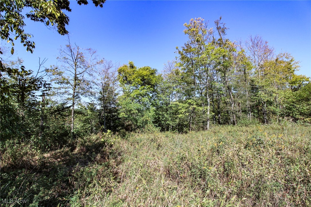 Lot 4 Moss Run Road, Marietta, Ohio image 4