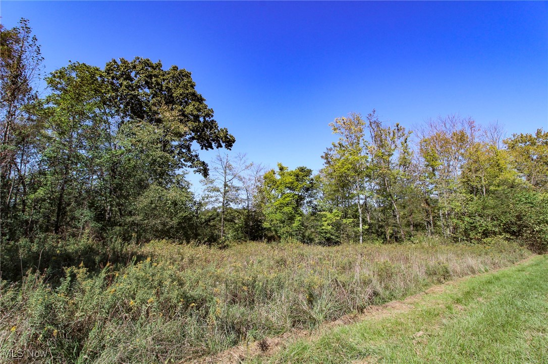 Lot 4 Moss Run Road, Marietta, Ohio image 7