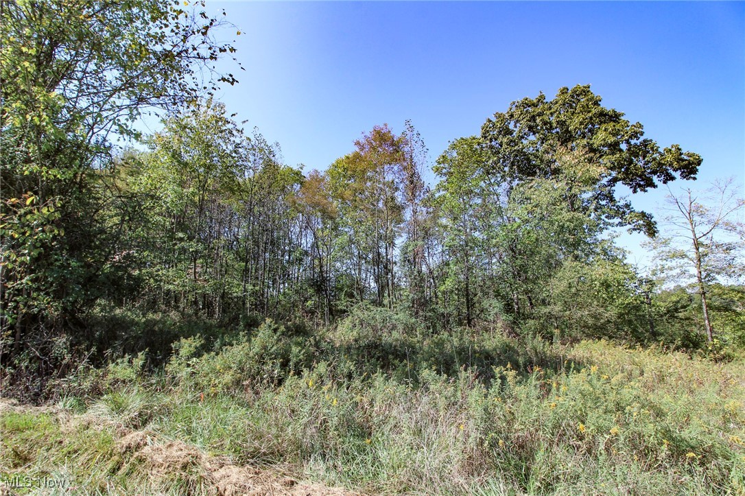 Lot 4 Moss Run Road, Marietta, Ohio image 6