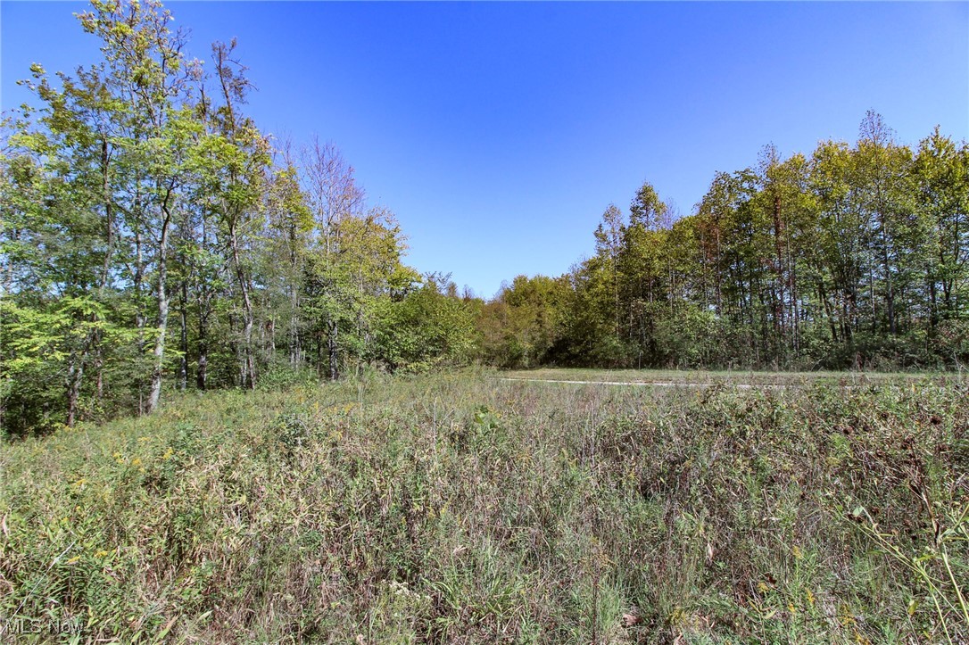 Lot 4 Moss Run Road, Marietta, Ohio image 5