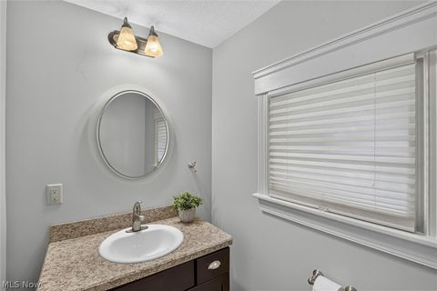 Tiny photo for 405 Silver Street, Akron, OH 44303 (MLS # 5219936)