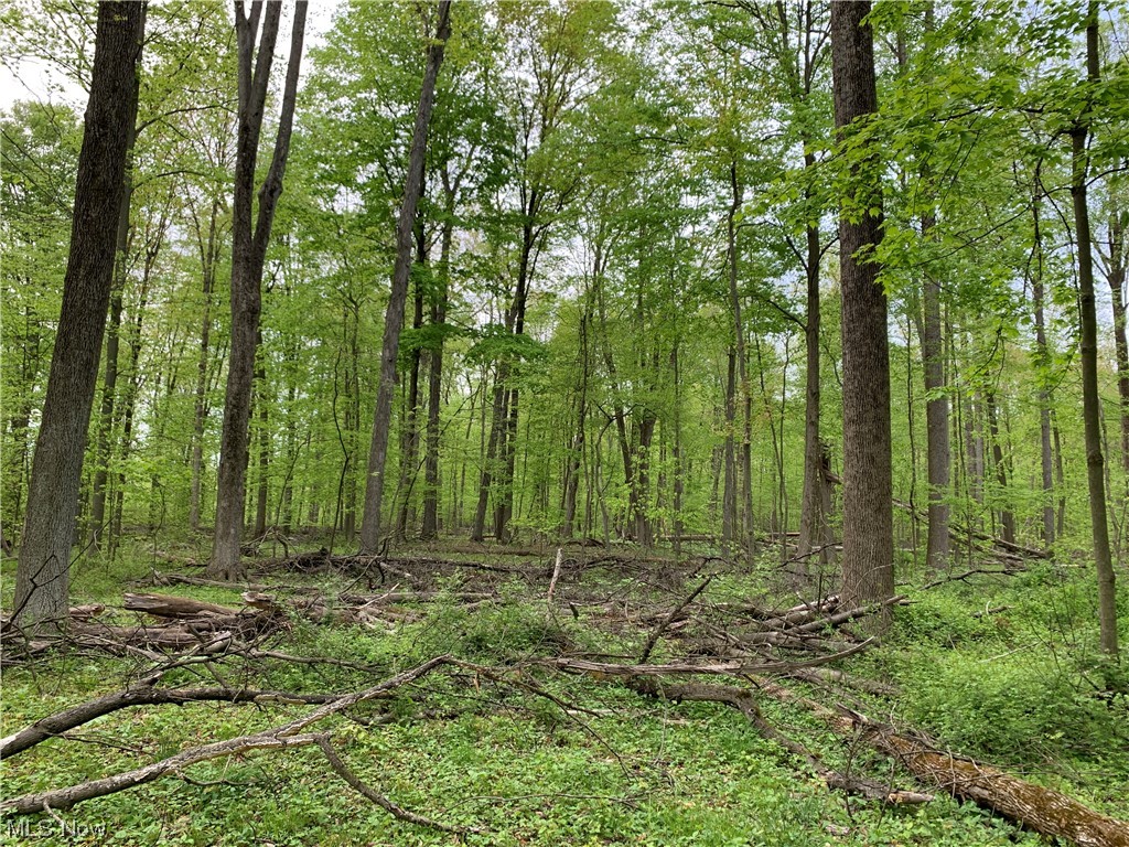 Berlin Township - Land