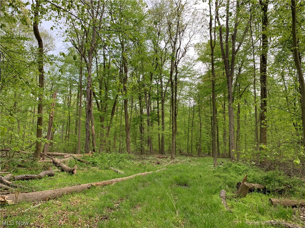 Berlin Township - Land