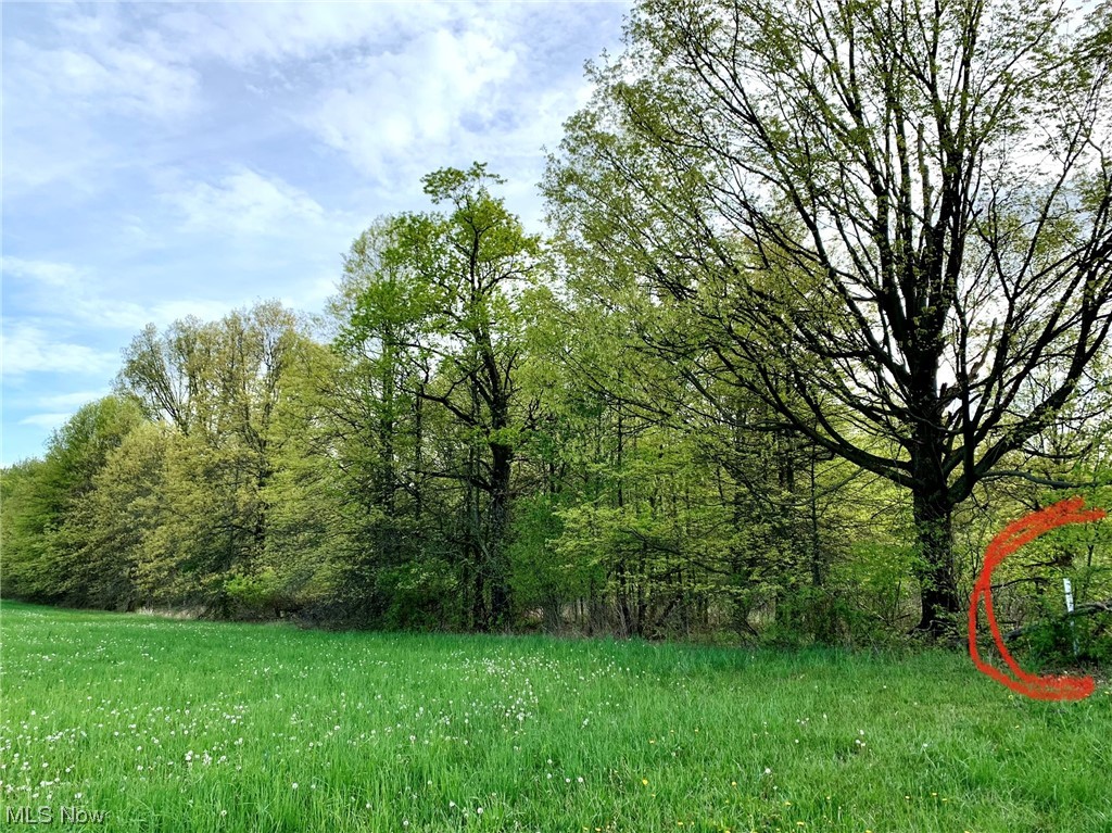 Berlin Township - Land