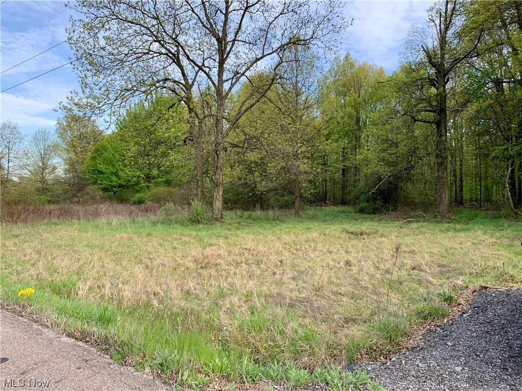 Berlin Township - Land