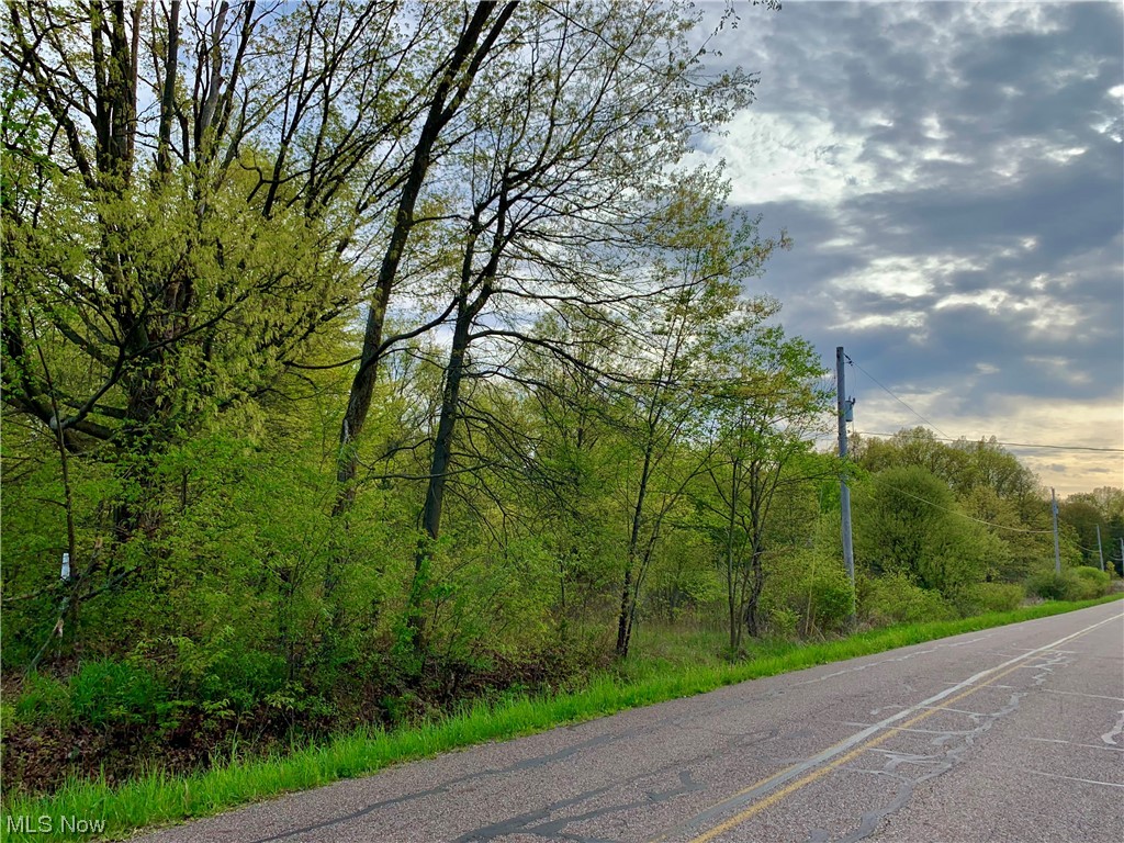 Looking to build your own Mini Farm? Are you wanting to design a home tucked back in the middle of a spacious wooded lot? Dreaming of having your own property for hunting or shooting? Well... Look no further! This parcel contains nearly 21 acres on Berlin Station Rd. and it would be an ideal location for your heart's desire!!! Dimensions of this rectangular parcel are 671' frontage x 1323' approximate depth (a total of 883,257 sq ft). This property was select timbered a few years ago and owner believes approximately 17 acres are wooded. Stop dreaming and start living!!! Please do not walk the property without your Realtor!