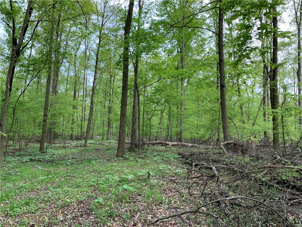 Berlin Township - Land