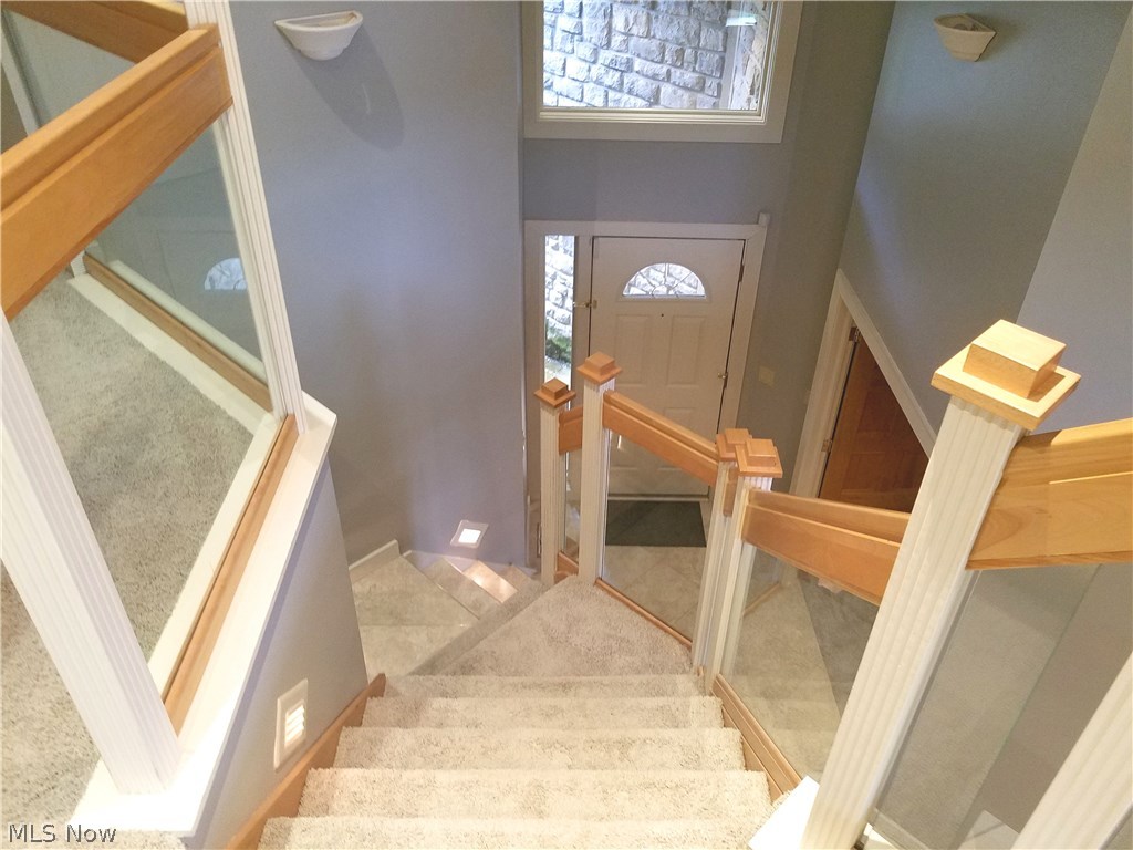 Red Tail - Residential