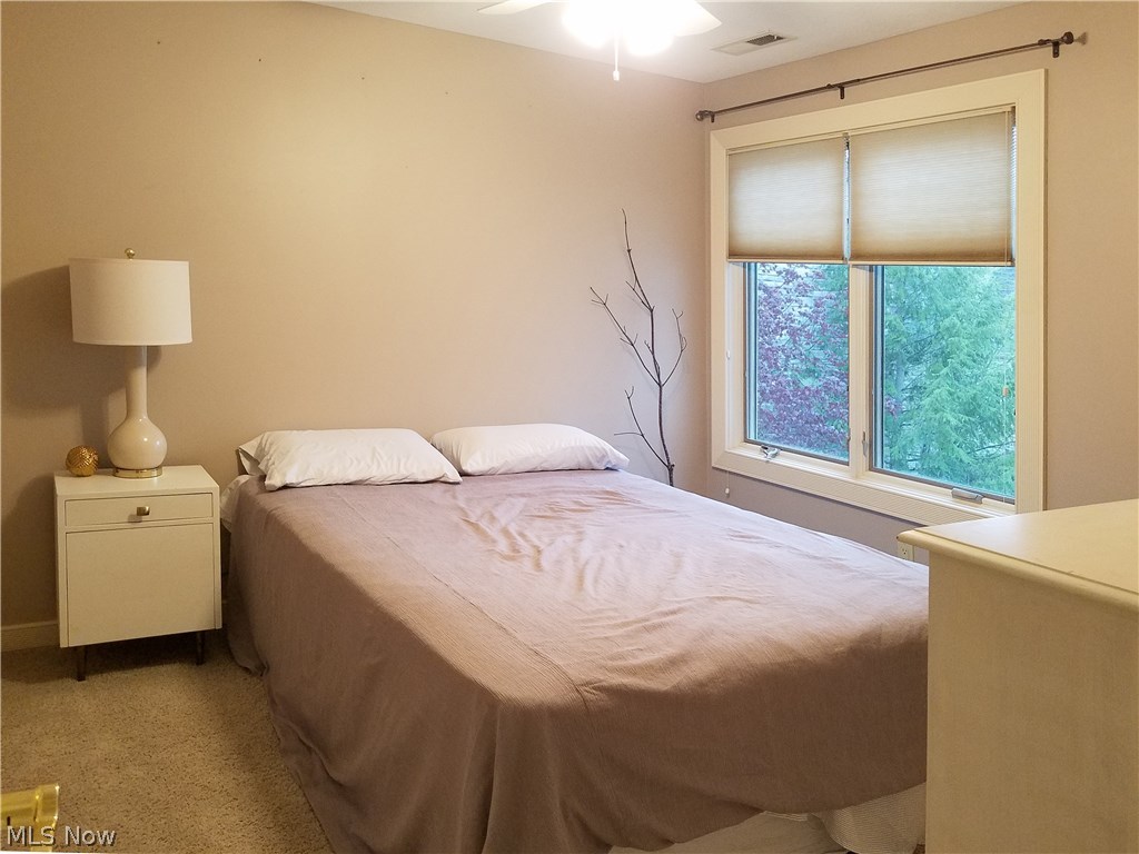 Red Tail - Residential