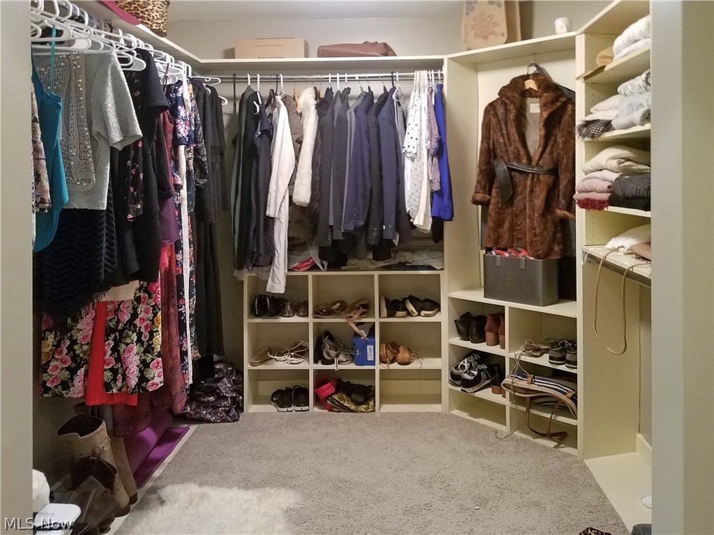 Red Tail - Residential