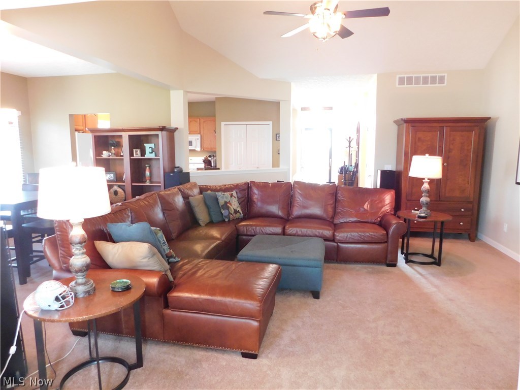 Village Lake Estate Sub - Residential