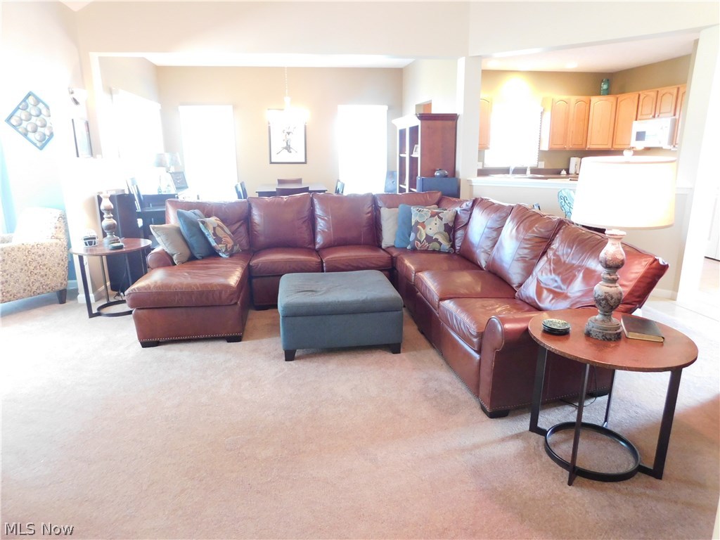 Village Lake Estate Sub - Residential