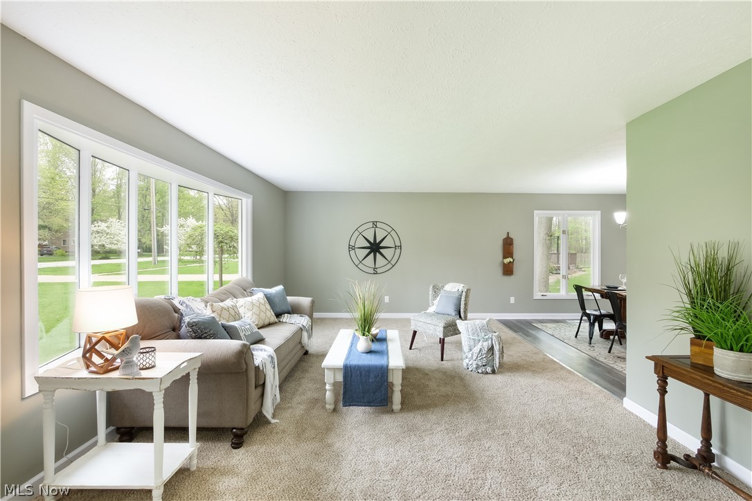 Wiemels & Omalleys Half Acre - Residential