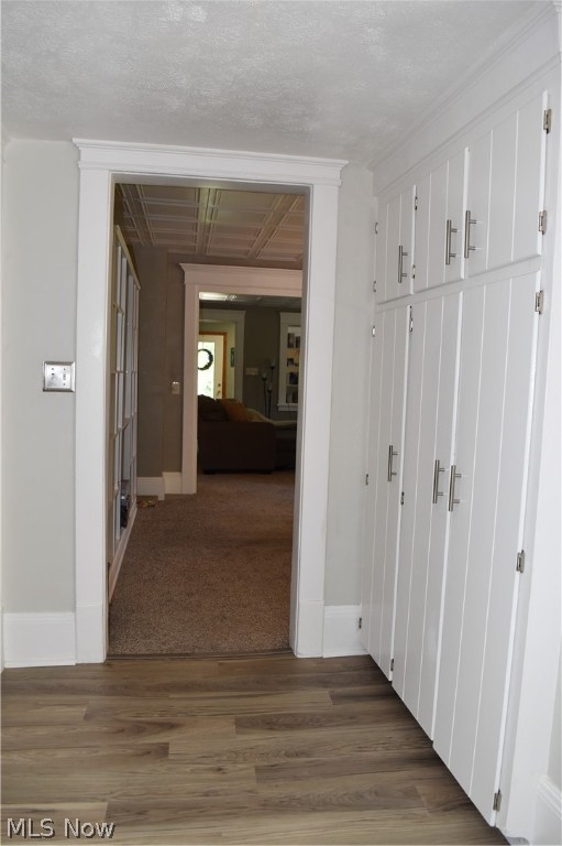 Village/Chardon - Residential