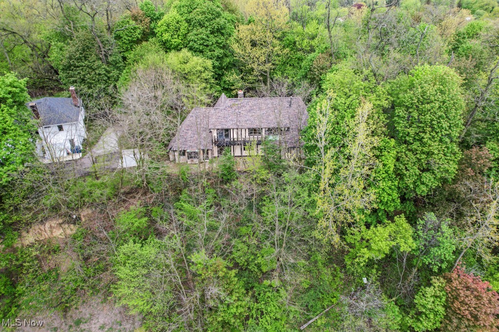 38038 Ridge Road, Willoughby, Ohio image 6