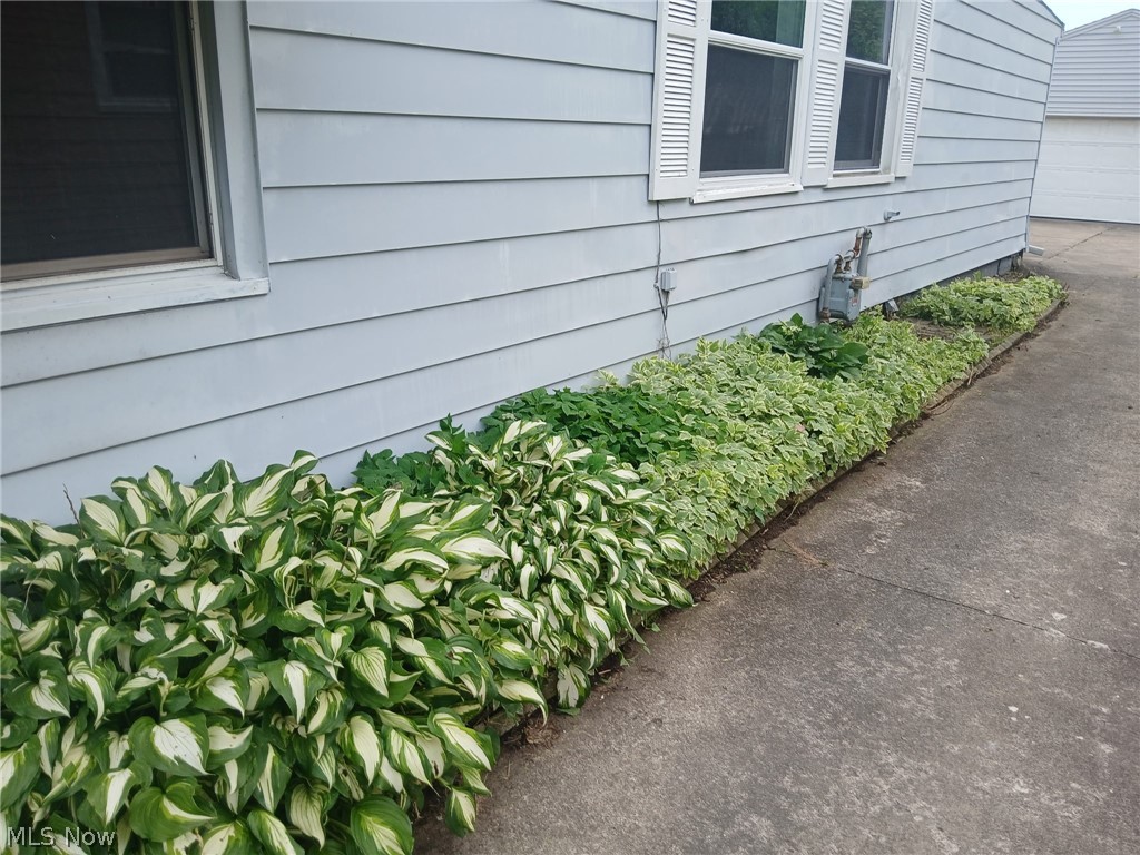 Elmwood - Residential