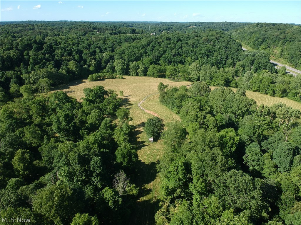 Here is your chance to own 235 +/- recreational acres in wild and wonderful West Virginia. This Wood County, WV property is a gem and a sportsman's dream in the heart of Appalachia. The property has a nice mix of about 20% fields and 80% woods. There is a camp area with electric available at the pole. You could build your own wilderness retreat or just pull up a camper. There is a gated gravel road to access the property and there are trails throughout the property. There is a nice mix of hardwoods and plenty of great sites to set up food plots. Big Run Creek runs through the northern part of the property and there are some small streams. Don't miss out on this magnificent property. Call to schedule a personal guided tour of this property today. Seller will retain all mineral rights.