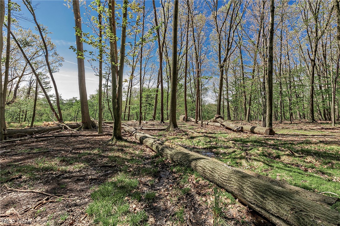 Village/Richmond Heights - Residential